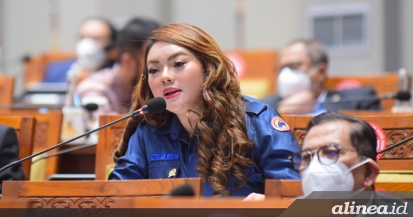 Pileg 2024 membuktikan politikus muda masih sekadar penggembira